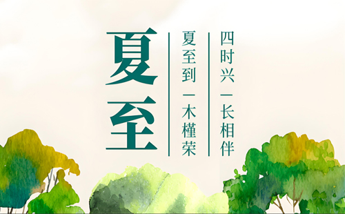 夏至綠意濃，環城智慧環保與您共筑綠色未來