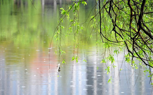 雨中的守護者 —— 環城智慧在雨季的應用實踐