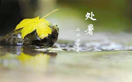 【處暑·環保新篇】